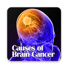 Causes of Brain Cancer icône