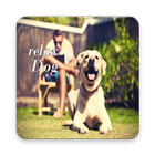 Relax Dog icon