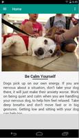 Relax Dog Cartaz