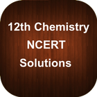 12th Chemistry NCERT Solutions icône