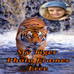 My Tiger Photo Frames Free
