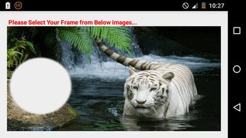 My Tiger Photo Frames Free capture d'écran 2