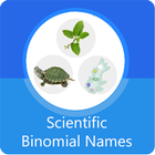 Scientific Binomial Names icône