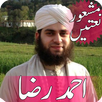 Hafiz Ahmed Raza Qadri Naats APK