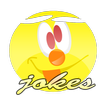 Funny Professional Jokes eBook