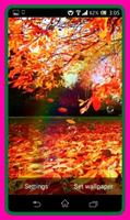 Autumn Live Wallpaper 截图 3