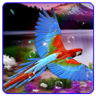 Parrot Live Wallpaper icon