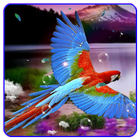 Parrot Live Wallpaper آئیکن