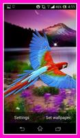 Parrot Live Wallpaper capture d'écran 3