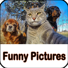 Funny Pictures Jokes Zeichen