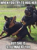 Funny Pictures Jokes Screenshot 3