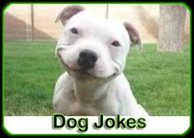 Funny Pictures Jokes Screenshot 1