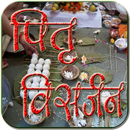 Pitri Visarjan APK