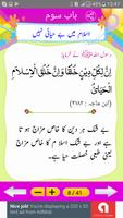 Muntakhab Ahadith captura de pantalla 3