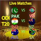 Live Cricket All Teams Matches أيقونة
