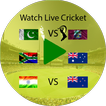 Pak Saudia Live Sports TV