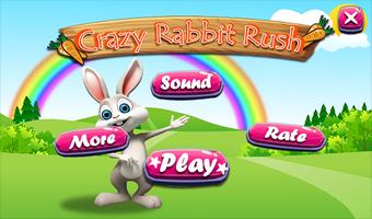 Rabbit Run - Bunny Rush World Affiche