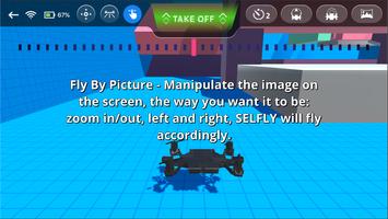 SELFLY simulator screenshot 2