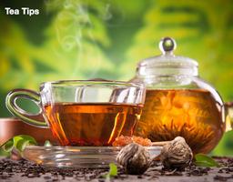 Tea Tips capture d'écran 3