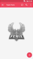 Team Fenix ポスター