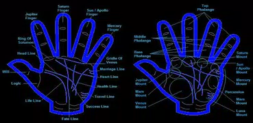 Free Palm Reading Chart - Palm