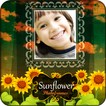 SunFlower Photo Frames