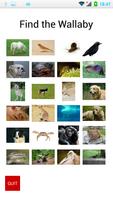 Find the Animal โปสเตอร์