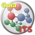 Guia Diagnóstica ITS