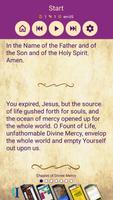 Chaplet of Divine Mercy Audio screenshot 2