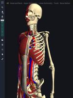 3D motion anatomy teamLabBody screenshot 1