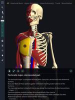 3D motion anatomy teamLabBody screenshot 2