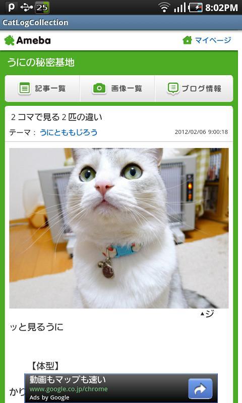 Cat Blog Collection For Android Apk Download Cat Blog Collection For Android Apk Download