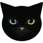 Amoled Cat Wallpapers 4K icon
