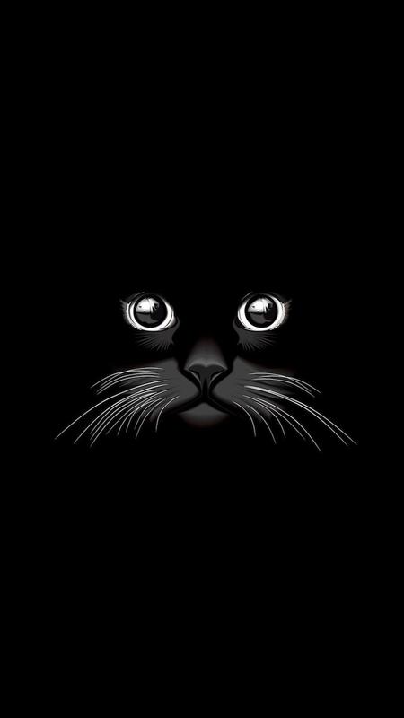Amoled Cat Wallpapers 4K for Android - APK Download