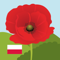 Learn Polish With Amy - Pro