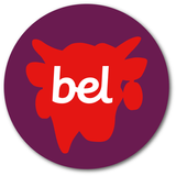Bel University icône