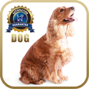 Dog Training APK