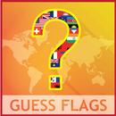 World Flag Quiz: Learn Flags-APK