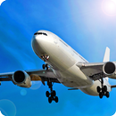 Avion Flight Simulator ™ APK