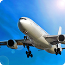 Avion Flight Simulator ™ aplikacja