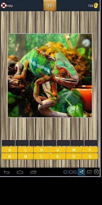  Tebak  Gambar  Hewan   APK  