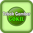 Tebak Gambar Gokil APK