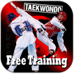Taekwondo free training