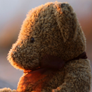 泰迪熊 Lwp APK