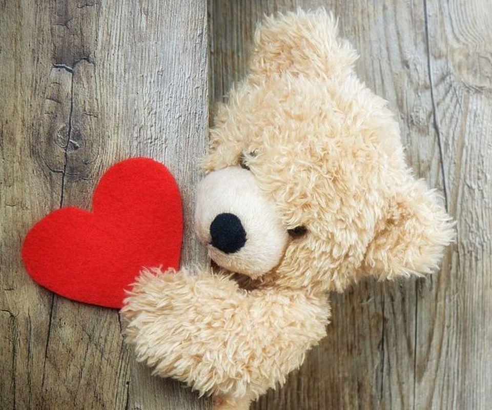  Teddy  Bear  Wallpaper  HD  for Android APK Download 