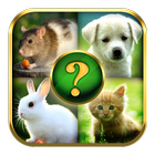 Animals Quiz biểu tượng