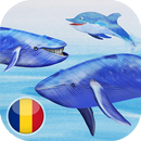 Balene si delfini APK