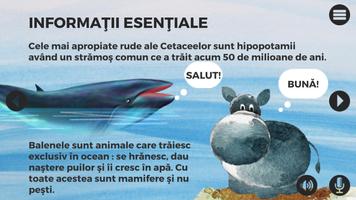 پوستر Balene si delfini