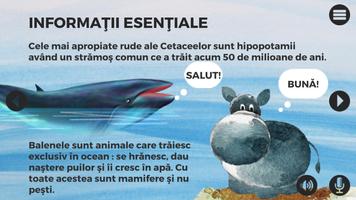 Balene si delfini Affiche