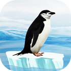 Knowee : Penguins icône